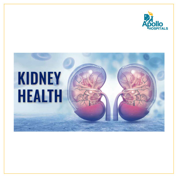 How to keep your kidneys stress-free?